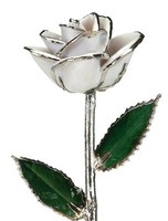 Snow White Laquered Platinum Dipped Long Stem Genuine Rose In Red Gift Box, New, on sale Snow White Laquered Platinum Dipped Long Stem Genuine Rose In Red Gift Box, New, on sale