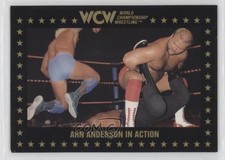 1991 Championship Marketing WCW Arn Anderson #108 06e0
