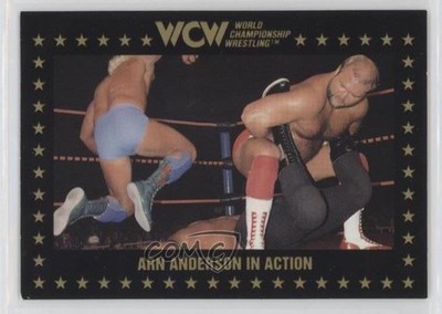 1991 Championship Marketing WCW Arn Anderson #108 06e0