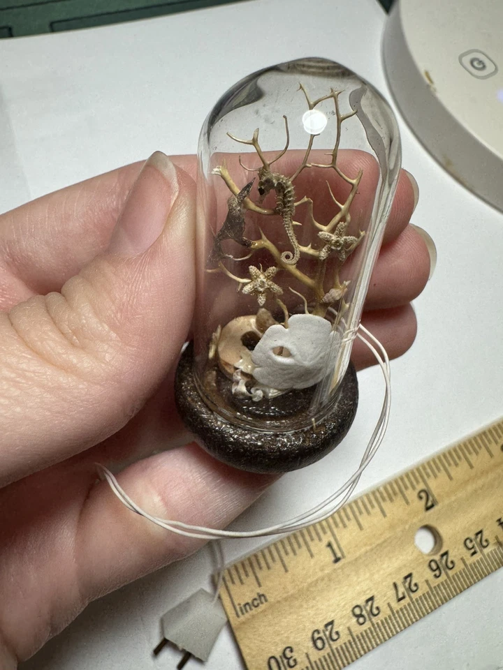 Vtg Dollhouse Miniature CLOCHE DOME WITH DRIED VEGETATION Tiny Artisan Lights up - Image 4 of 4
