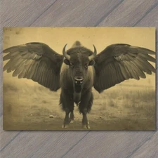 POSTCARD Buffalo Bison Majestic Winged Soaring in the Sky Buffalo Wings Funny