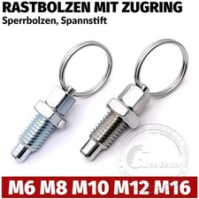 Rastbolzen mit Zugring und Kontermutter DIN439 Sperrbolzen, Spannstift M6 - M16
