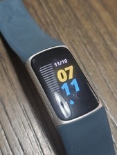 Fitbit Charge 5 Activity Tracker - Steel Blue/Platinum Stainless Steel