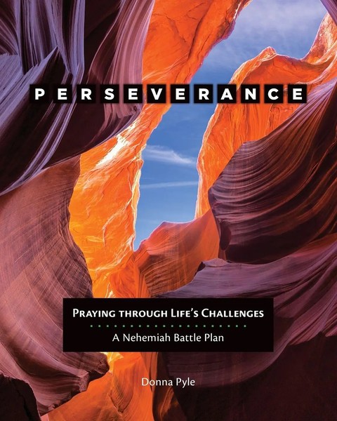 Donna Snow | Perseverance | Taschenbuch | Englisch (2019) | EAN 9780758660572-image