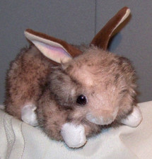 TY Bunny Rabbit BUSTER Beanie Baby 2019 Plush 6-1/2" Toy Animal