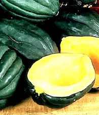 Table Queen Acorn Squash Seeds 10 SEEDS NON-GMO -BUY 4 ITEMS FREE SHIPPING