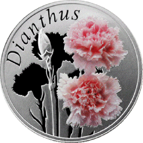 Weißrussland 2013, DIE NANZE (DIANTHUS). Schönheit der Blumen, silber, farbig - Bild 2 von 3