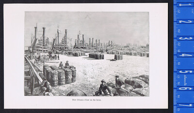 New Orleans, Louisiana - View on the Levee with Steamboats- 1894 Print