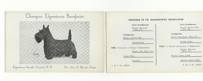 Vintage Old Scottish Terrier Breeder Advertising Card Mac R Kennels Pembroke NH