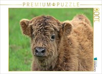 Calvendo Puzzle Scottish Highland Calf | 1000 Pieces, Finished Size 25.2 × 18.9