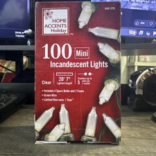 Home Accents 100 Multi-Colored Incandescent Mini Lights Green Wire 20'7" Lighted