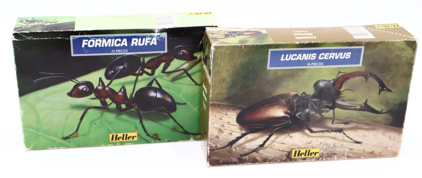 S Formica Rufa And Lucanis Cervus