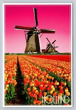 Vintage Holland Tulip Fields & Windmills Postcard by Sparo Cards