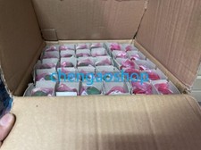 1PCS New SKS36-HFA0-S01 1034263 encoder