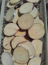 Birkenscheiben 20 x 8-12 cm, Baumscheibe, Holzscheiben, Deko Birke, DIY