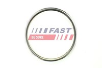 Dichtung Abgasrohr Fast FT84594 FüR Ducato CitroËN Fiat Jumper Boxer Peugeot Bus