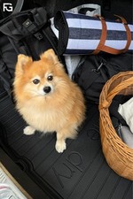 Kofferraum-Auskleidung FROGUM DZ401037 NISSAN QASHQAI II (J11, J11_) 2 2017-