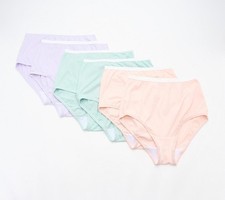 Breezies Set of 6 Original Cotton Brief Panties Bliss 14 New