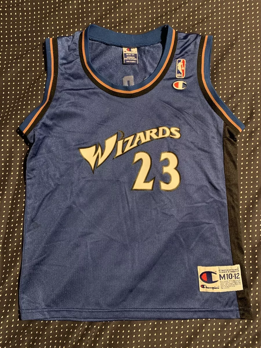 Michael Jordan Washington Wizards Autographed Blue Art Jersey