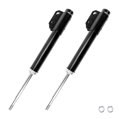Detroit Axle - 2 Front Suspension Struts Shocks for 1994-2004