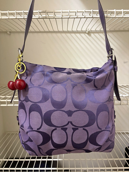 Y2K Coach Purple Signature Hobo Bag Rare F15077