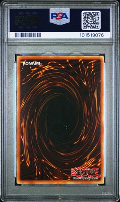 【世界103枚】　PSA10 Dragon of Illumination PSA 10 Dragon of Illumination Sanctuary's Shield 2025-EN004