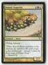 Assault Zeppelid 103 Common Dissension Magic: The Gathering Near Mint