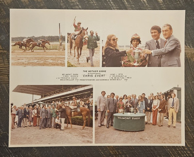 1974 Winner's Circle Collage 11x14 Photo - Chris Evert, Mother Goose, Belmont