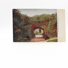 Postcard Central Park New York City Man Sitting On Park Bench Unposted