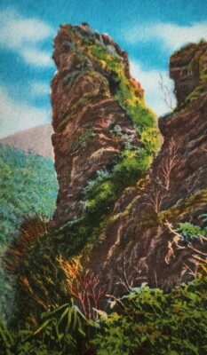 Duck Hawk on the Side of Mount Leconte Great Smoky Mountains TN Postcard Vintage