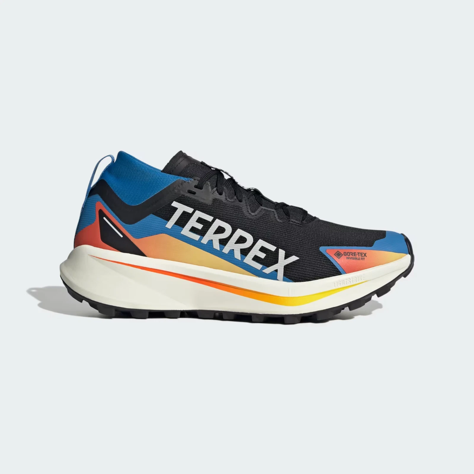 adidas Terrex Agravic GTX Trail Running Shoes in Black and Blue