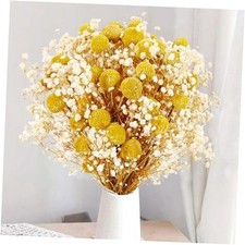 50 Pcs Dried Billy Balls  White Baby  s Breath Flowers, 16" 30Pcs Dried Yellow