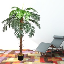 2 Kg Kokusfaser Cocos Faser Palmfaser Kunstpalme Palme DEKO Kg/11,85 2 Kg Kokusfaser Cocos Faser Palmfaser Kunstpalme Palme DEKO Kg/11,85
