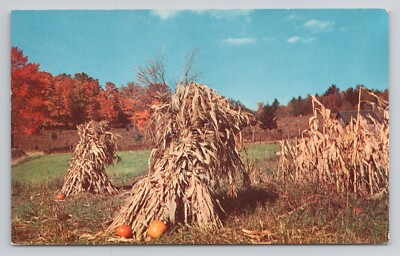 Harvest Time Fall Corn Haystacks Pumpkins Autumn Farming Virginia ...
