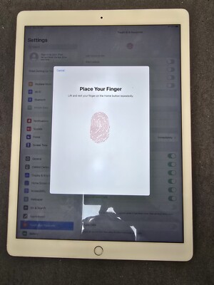 Apple iPad Pro 1st Gen. 128GB, Wi-Fi + 4G (Unlocked), 12.9 in