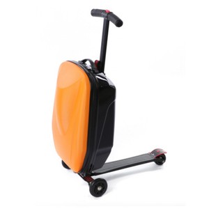 skateboard luggage bolsa