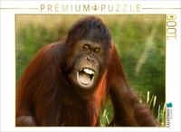 Calvendo Puzzle The Florida Orangutan | 1000 Pieces, Finished Size 25.2 × 18.9 I
