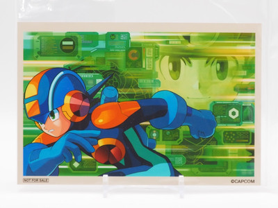 Mega Man Battle Network Rockman EXE Fair Capcom Bromide Animate Japan ZG871