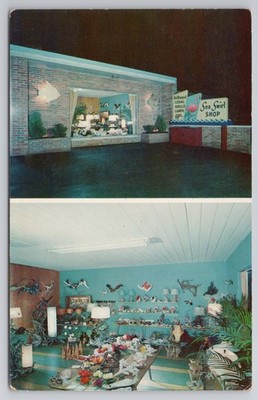 Sea Swirl Shop Columbus Ohio OH Unp Chrome Postcard