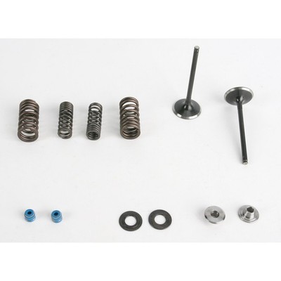 Kibblewhite Precision Machining Intake Only Conversion Spring Kit - 30-31200