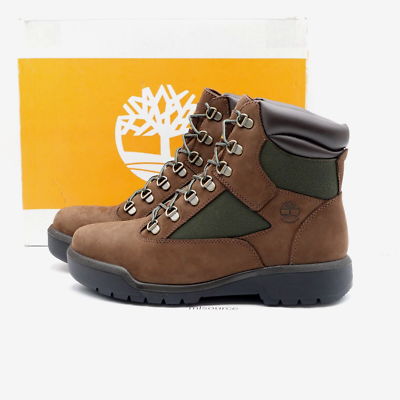 Size 10 Men's Timberland 6-Inch Waterproof Field Boots TB-0A18AH