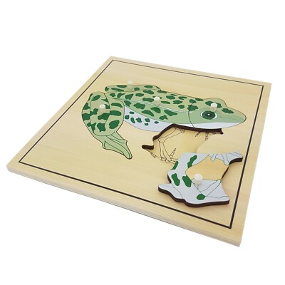Frog Puzzle with Skeleton - MONTESSORI BIOLOGY / ZOOLOGY MATERIALS