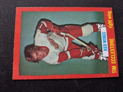 1973-74 Topps Hockey Card # 124 Tim Ecclestone - Detroit Red Wings (EX/NM)