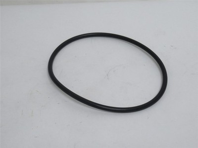 234227 New-No Box; Pappas Inc KS165X7 O-Ring; 165mmOD x 7mm Width