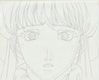 The Twelve Kingdoms Juuni Kokki Genga Douga Original Sketches Pierrot - Youko — photo 6