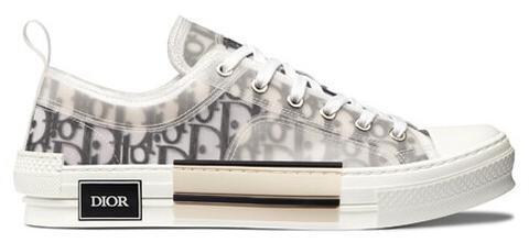 Dior B23 Low Top Oblique White 2019 for sale | eBay