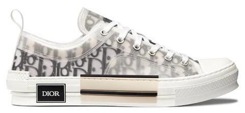 Dior B23 Low Top Oblique White 2019