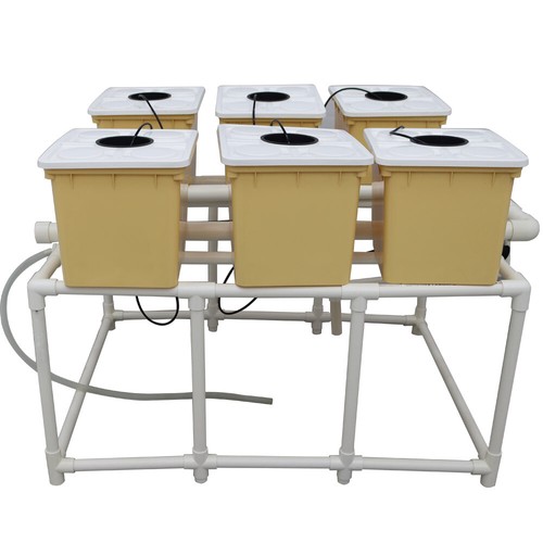 6 Site Hydroponic Growing Kit Dutch Bato Bucket Strawberry Tomato Plant System - Picture 8 of 12