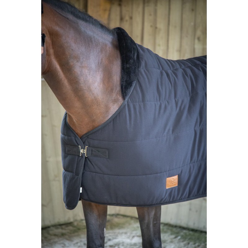 Sous-couverture PADDOCK Underblanket marine pour cheval d'équitation en 145cm