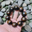 Sparkling Golden Black Coral Bracelet 24-26 MM Genuine Indonesian Sea Willow #18